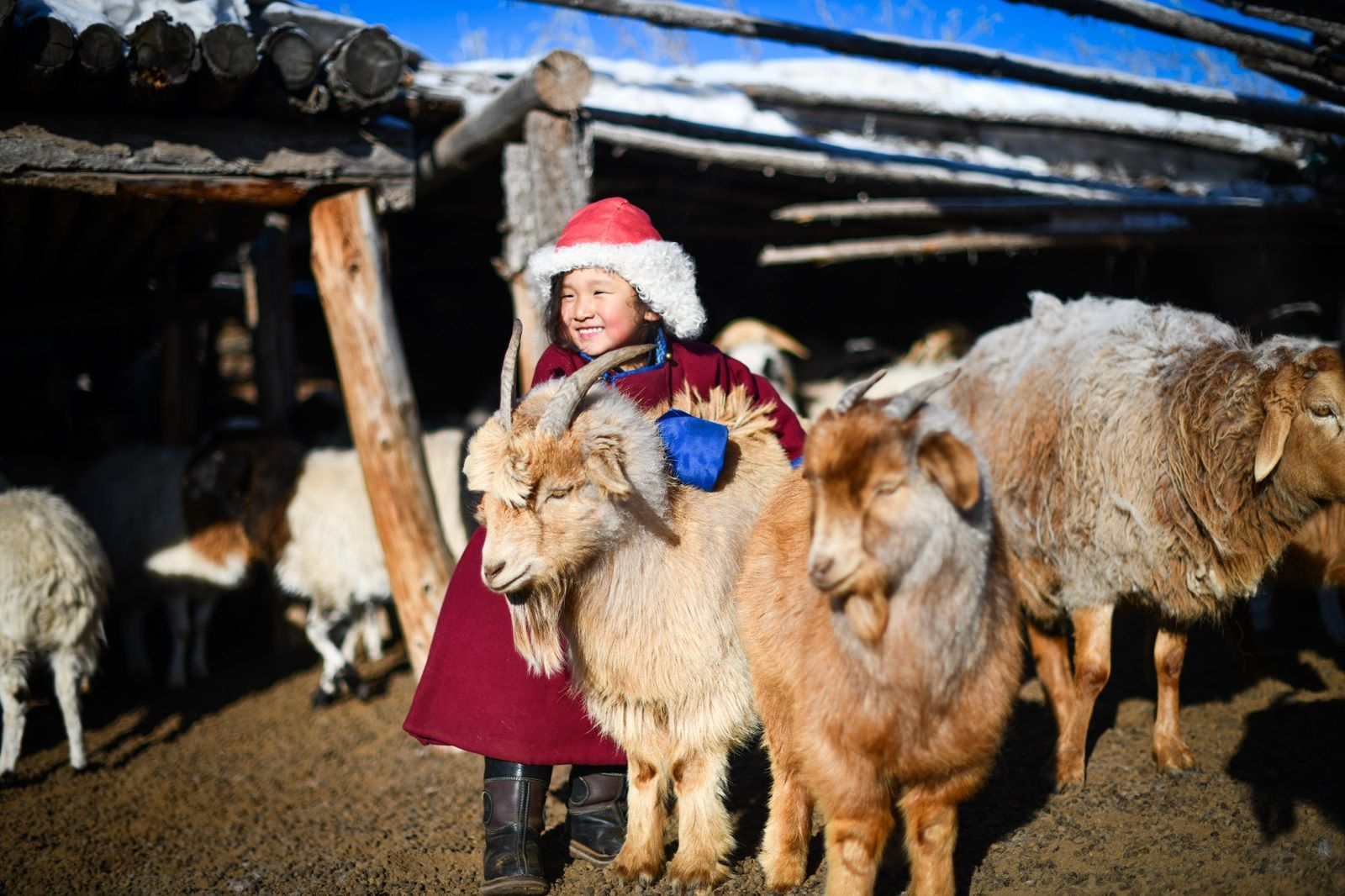 Mongolians to Mongolians Programme